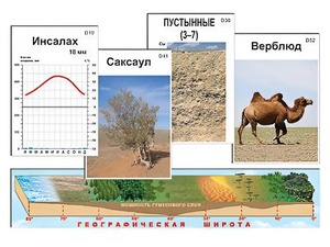 Модель-аппликация "Природные зоны" - fgospostavki.ru - Верхняя Пышма