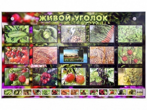 Комплект оборудования "Живой уголок" (растения) с тифлопереводом и сурдокомментариями - fgospostavki.ru - Верхняя Пышма