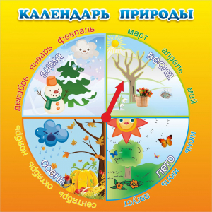 Стенд "Календарь природы" 0.5x0.5 - fgospostavki.ru - Верхняя Пышма