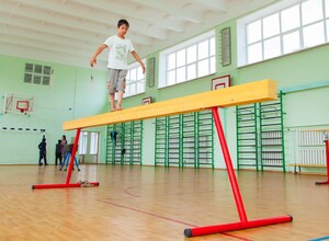 Бревно гимнастическое напольное постоянной высоты (700 мм) (5 м) - fgospostavki.ru - Верхняя Пышма