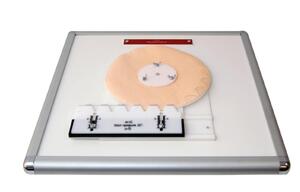 Комплекс "Изучение зубьев" - fgospostavki.ru - Верхняя Пышма