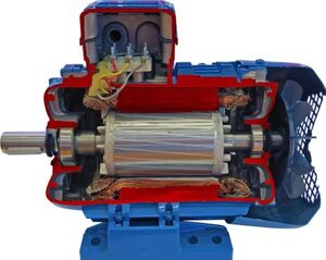 Учебная модель «Электродвигатель асинхронный в разрезе» - fgospostavki.ru - Верхняя Пышма