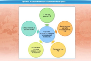 Интерактивные курсы. Обществознание 10 класс. Базовый - fgospostavki.ru - Верхняя Пышма