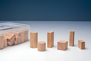 Игровой набор Фребеля "Конструктор" (50 элементов, бук, серия "Красота вокруг нас") - fgospostavki.ru - Верхняя Пышма