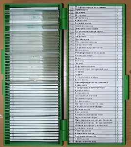 Набор микропрепаратов - fgospostavki.ru - Верхняя Пышма