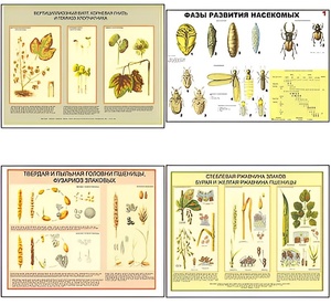 Плакаты ПРОФТЕХ "Вредители и болезни с/х культур и меры борьбы с ними" (11 пл, винил, 70х100) - fgospostavki.ru - Верхняя Пышма