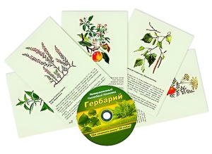 Интерактивный наглядный комплекс "Гербарий "Для начальной школы" - fgospostavki.ru - Верхняя Пышма