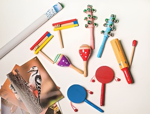 Комплект шумовых музыкальных инструментов - fgospostavki.ru - Верхняя Пышма