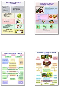 Плакаты ПРОФТЕХ "Классификация овощей и переработка" (8 пл, винил, 70х100) - fgospostavki.ru - Верхняя Пышма