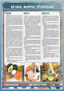 Стенд "Белки. Жиры. Углеводы" - fgospostavki.ru - Верхняя Пышма