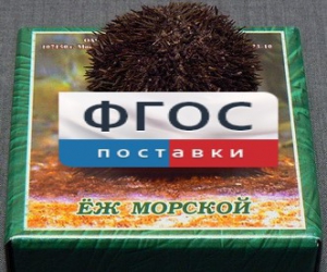 Сухой препарат "Еж морской" - fgospostavki.ru - Верхняя Пышма