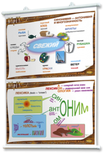Плакаты по русскому языку для оформления кабинета. - fgospostavki.ru - Верхняя Пышма