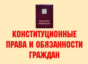 Комплект плакатов "Конституционные права и обязанности граждан" - fgospostavki.ru - Верхняя Пышма