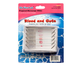 Набор микропрепаратов для микроскопа №1 «Человек» - fgospostavki.ru - Верхняя Пышма