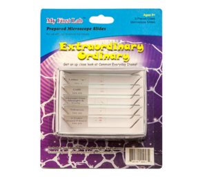 Набор микропрепаратов для микроскопа №3 «Необычное в обычном» - fgospostavki.ru - Верхняя Пышма
