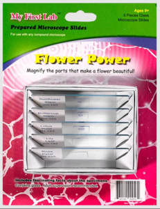 Набор микропрепаратов для микроскопа №6 «Цветы» - fgospostavki.ru - Верхняя Пышма