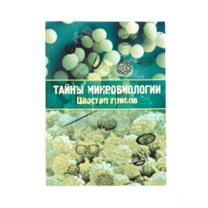 Набор «Тайны микробиологии» (Царство грибов) - fgospostavki.ru - Верхняя Пышма