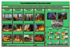 Стенд-планшет электрифицированный «Виды лесных пожаров»  - fgospostavki.ru - Верхняя Пышма