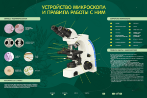 Электрифицированный стенд "Устройство микроскопа и правила работы c ним" - fgospostavki.ru - Верхняя Пышма