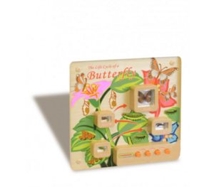 Панель «Жизненный цикл бабочки» - fgospostavki.ru - Верхняя Пышма