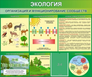 Стенд "Экология. Организация и функционирование сообществ" - fgospostavki.ru - Верхняя Пышма