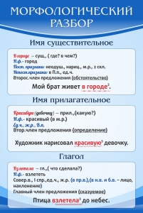 Стенд "Морфологический разбор" - fgospostavki.ru - Верхняя Пышма