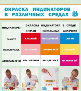 Стенд "Окраска индикаторов в различных средах" - fgospostavki.ru - Верхняя Пышма