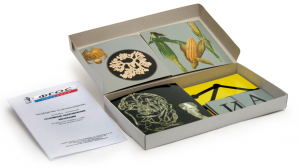 Модель-аппликация "Основные направления эволюции" (набор из 33 карт) - fgospostavki.ru - Верхняя Пышма