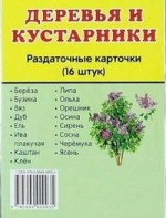 Раздаточные карточки "Деревья и кустарники" - fgospostavki.ru - Верхняя Пышма