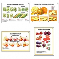 Плакаты ПРОФТЕХ "Ассортимент овощных культур" (12 пл, винил, 70х100) - fgospostavki.ru - Верхняя Пышма