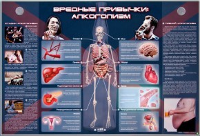 Электрифицированный стенд "Вредные привычки: алкоголизм" - fgospostavki.ru - Верхняя Пышма