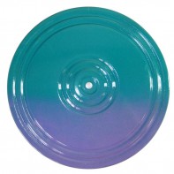 Диск здоровья (многоцветный) - fgospostavki.ru - Верхняя Пышма