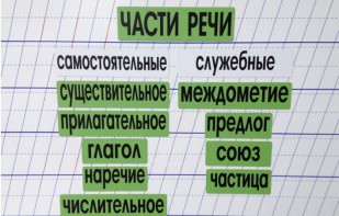 Набор магнитных карточек "Части речи" (фон зелёный) - fgospostavki.ru - Верхняя Пышма