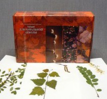 Гербарий для Начальной школы (28 видов) - fgospostavki.ru - Верхняя Пышма