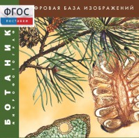 Ботаника. Микрофотографии. (Цифровая база изображений) - fgospostavki.ru - Верхняя Пышма