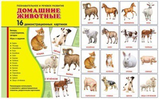 Демонстрационные карточки "Домашние животные" - fgospostavki.ru - Верхняя Пышма