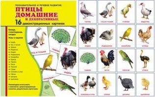 Демонстрационные карточки "Птицы домашние и декоративные" - fgospostavki.ru - Верхняя Пышма