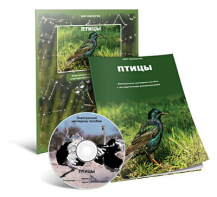 Электронное наглядное пособие «Птицы» - fgospostavki.ru - Верхняя Пышма