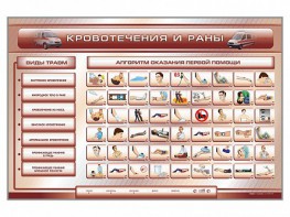 Трехсекционный базовый комплект "Травмы. Кровотечения. Ожоги" для учащихся общеобразовательных учреждений - fgospostavki.ru - Верхняя Пышма