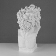 Бюст Лаокоона (гипс) - fgospostavki.ru - Верхняя Пышма