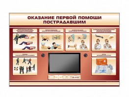 Многофункциональный интерактивный стенд-тренажер "Оказание первой помощи пострадавшим" для учащихся общеобразовательных учреждений - fgospostavki.ru - Верхняя Пышма