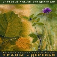 Растения средней полосы России "Травы и Деревья". (Цифровые атласы-определители) - fgospostavki.ru - Верхняя Пышма