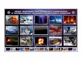 Многофункциональный интерактивный стенд-тренажер "Этапы эвакуации при природных катаклизмах и чрезвычайных ситуациях техногенного характера" - fgospostavki.ru - Верхняя Пышма