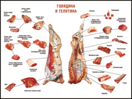 Таблица "Правила разделки мясных туш. Говядина и телятина" (100х140 сантиметров, винил) - fgospostavki.ru - Верхняя Пышма