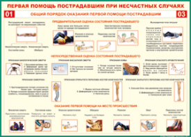 Таблица "Общий порядок оказания первой помощи пострадавшим" (100х140 сантиметров, винил) - fgospostavki.ru - Верхняя Пышма