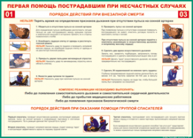 Таблица "Порядок действий при внезапной смерти" (100х140 сантиметров, винил) - fgospostavki.ru - Верхняя Пышма