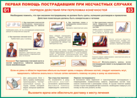 Таблица "Порядок действий при переломах конечностей" (100х140 сантиметров, винил) - fgospostavki.ru - Верхняя Пышма