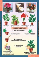 Комплект таблиц. Окружающий мир 1 класс. - fgospostavki.ru - Верхняя Пышма
