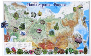 Магнитные карточки "Растения" - fgospostavki.ru - Верхняя Пышма