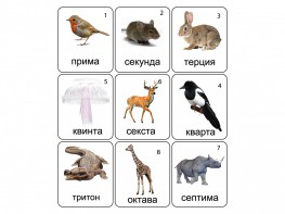 Набор магнитных карточек по музыке "Животные" (9 штук) - fgospostavki.ru - Верхняя Пышма